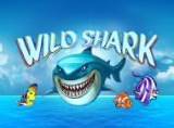 Игровой автомат Wild Shark: окунись в морскую пучину с акулами
